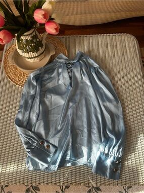Zara Light Blue Satin Long-Sleeve Blouse